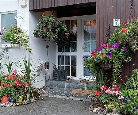 Guesthouse Topos St Austell Zewnętrze zdjęcie